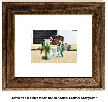 horse trail rides near me in South Laurel, Maryland